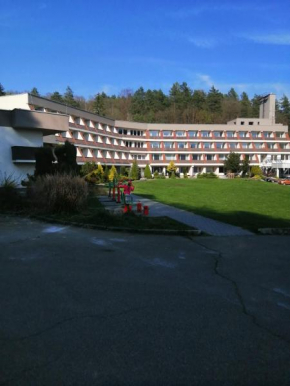 Apartmán Všemina, Všemina